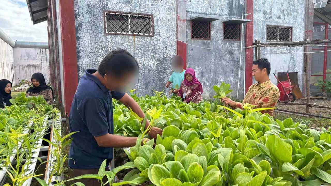 Rutan Bengkulu Sinergikan Pembinaan dan Ketahanan Pangan
